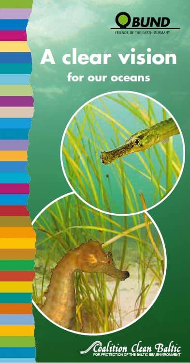 A clear vision for our ocean