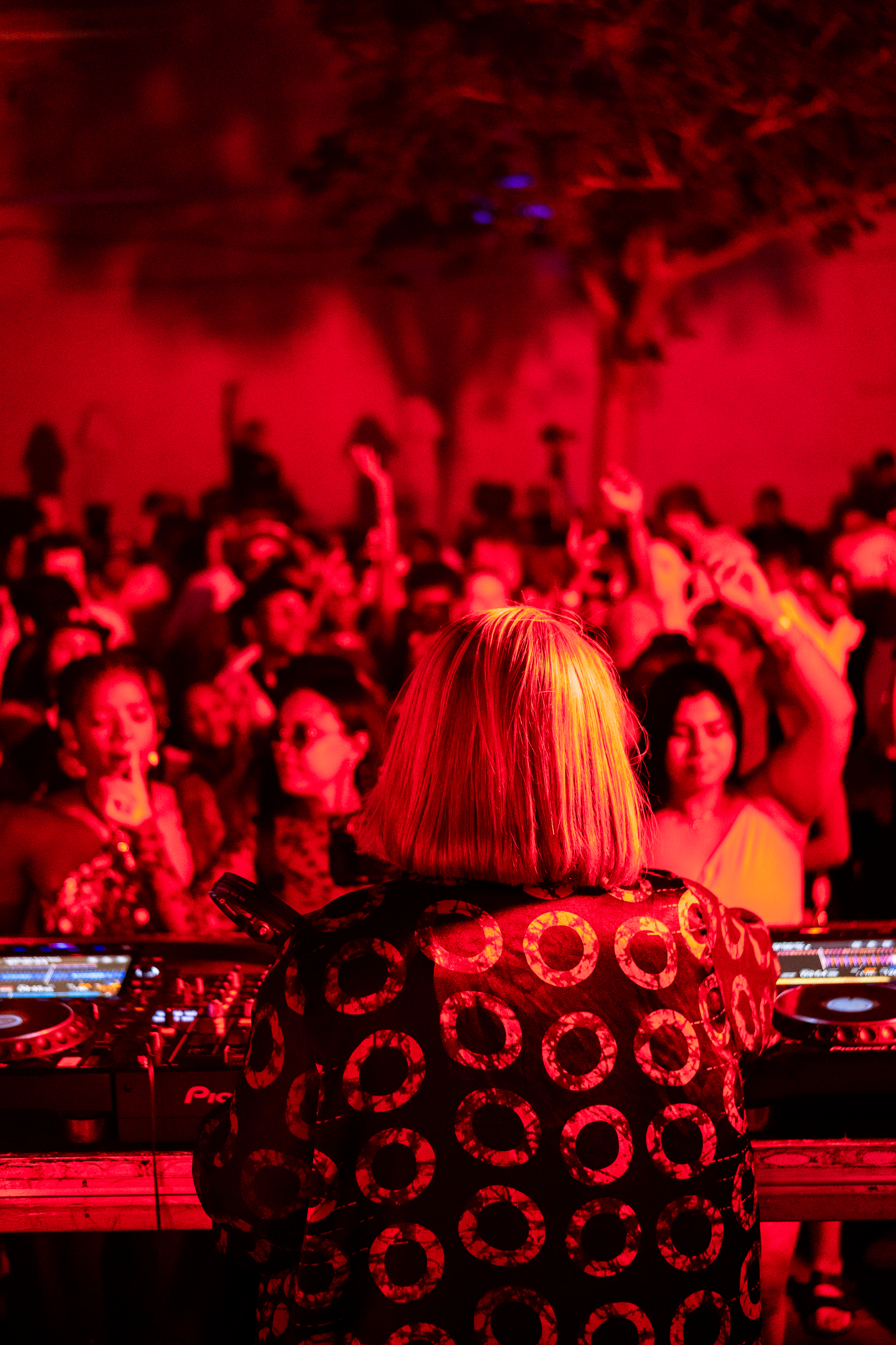 Sondela Cape Town: Thakzin, Lemon & Herb + Thandi Draai photo 40