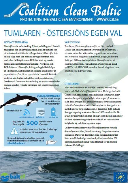 Tumlaren - Östersjöns egen val