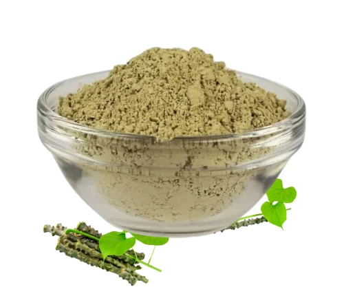 Neem Giloy Powder