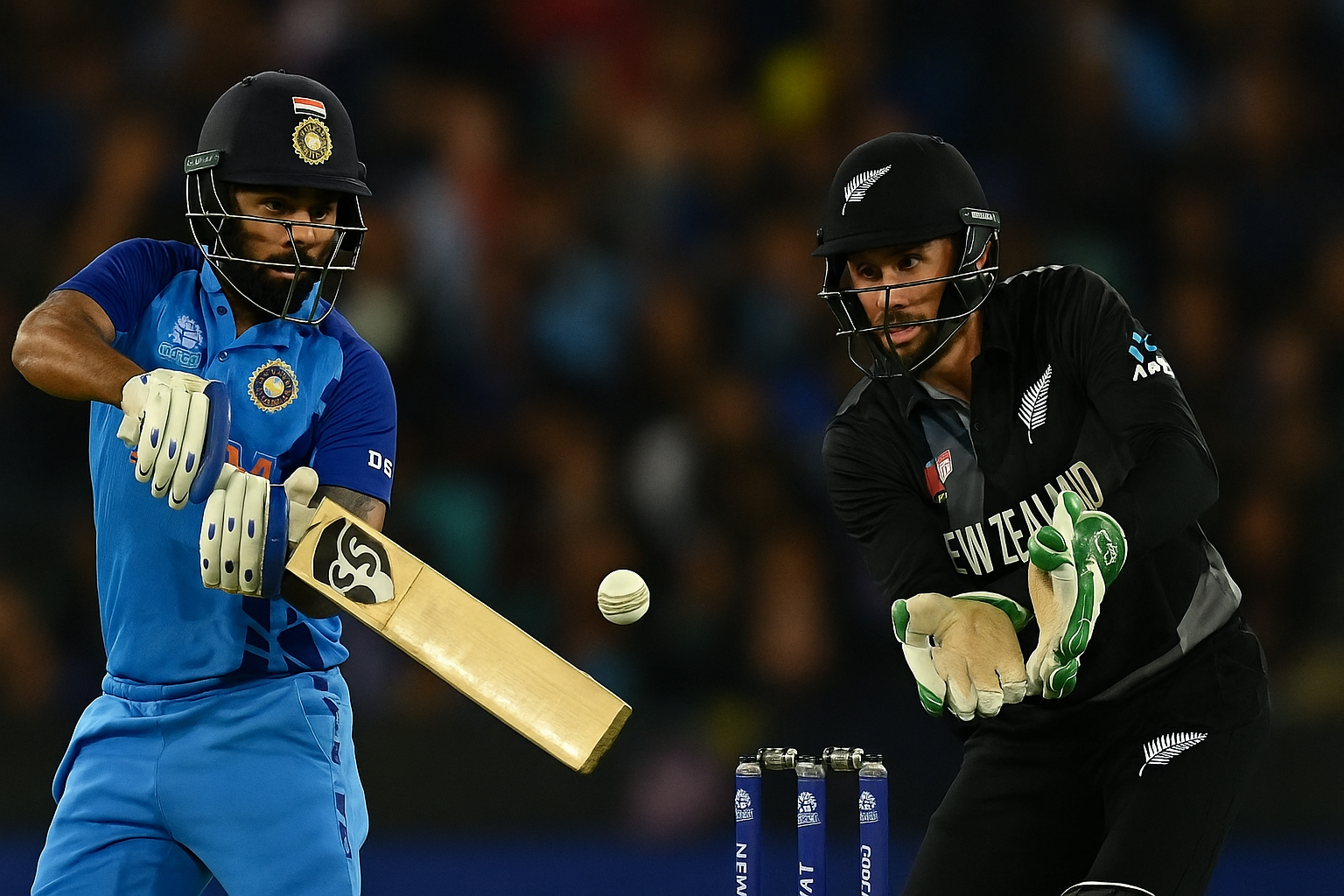 india vs new zealand