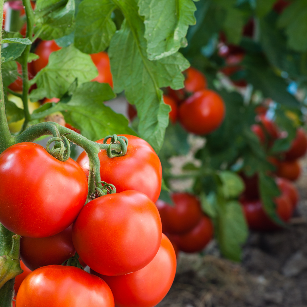 Cover photo for blog post