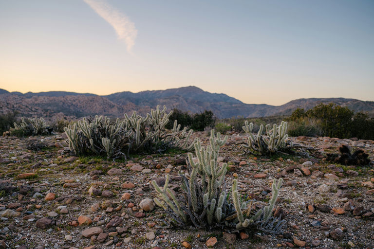 171. UW-23-@stefman_-01574-(Scenery, Sunday).jpg