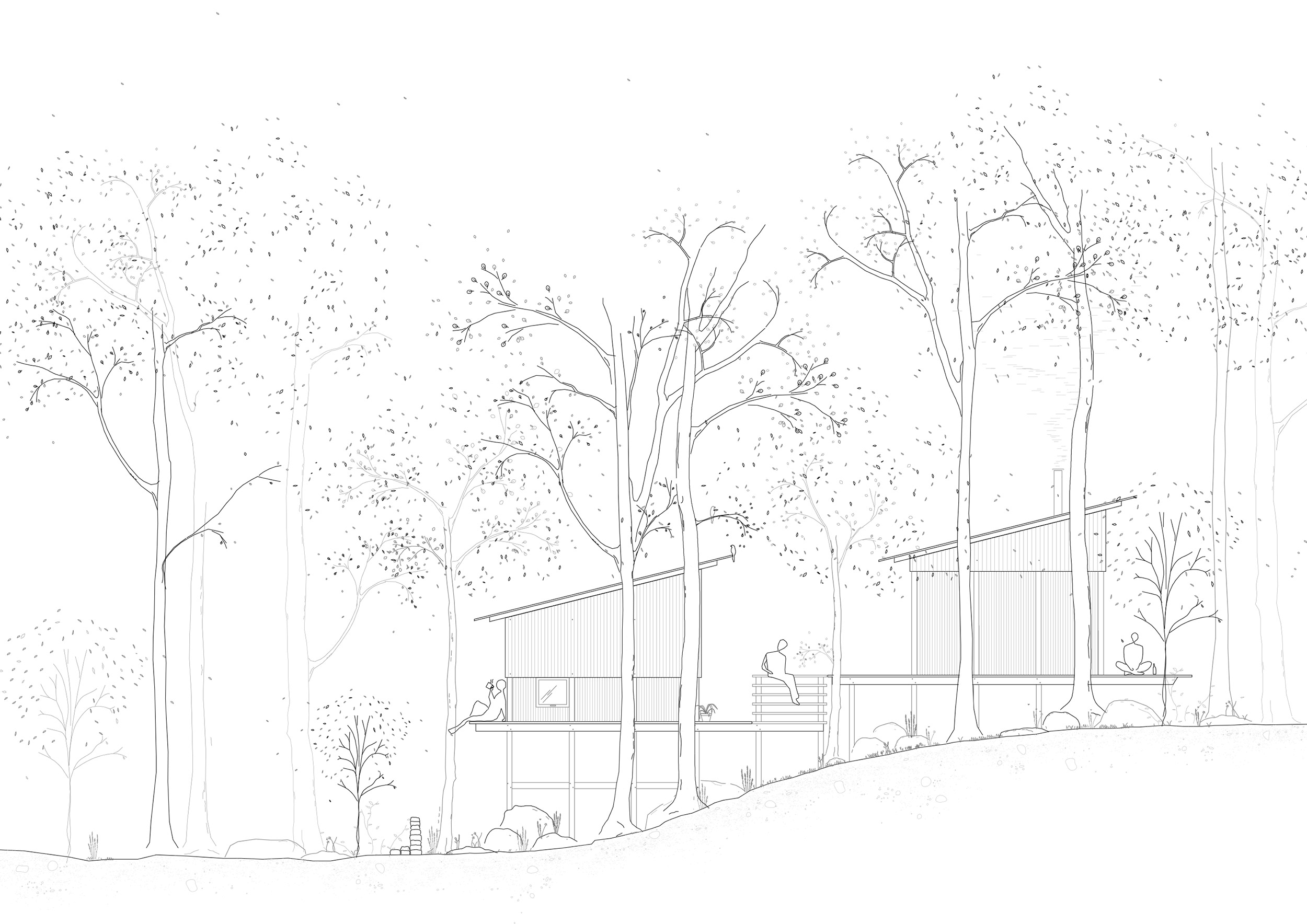 Archival Studies Almenr Drawings 4