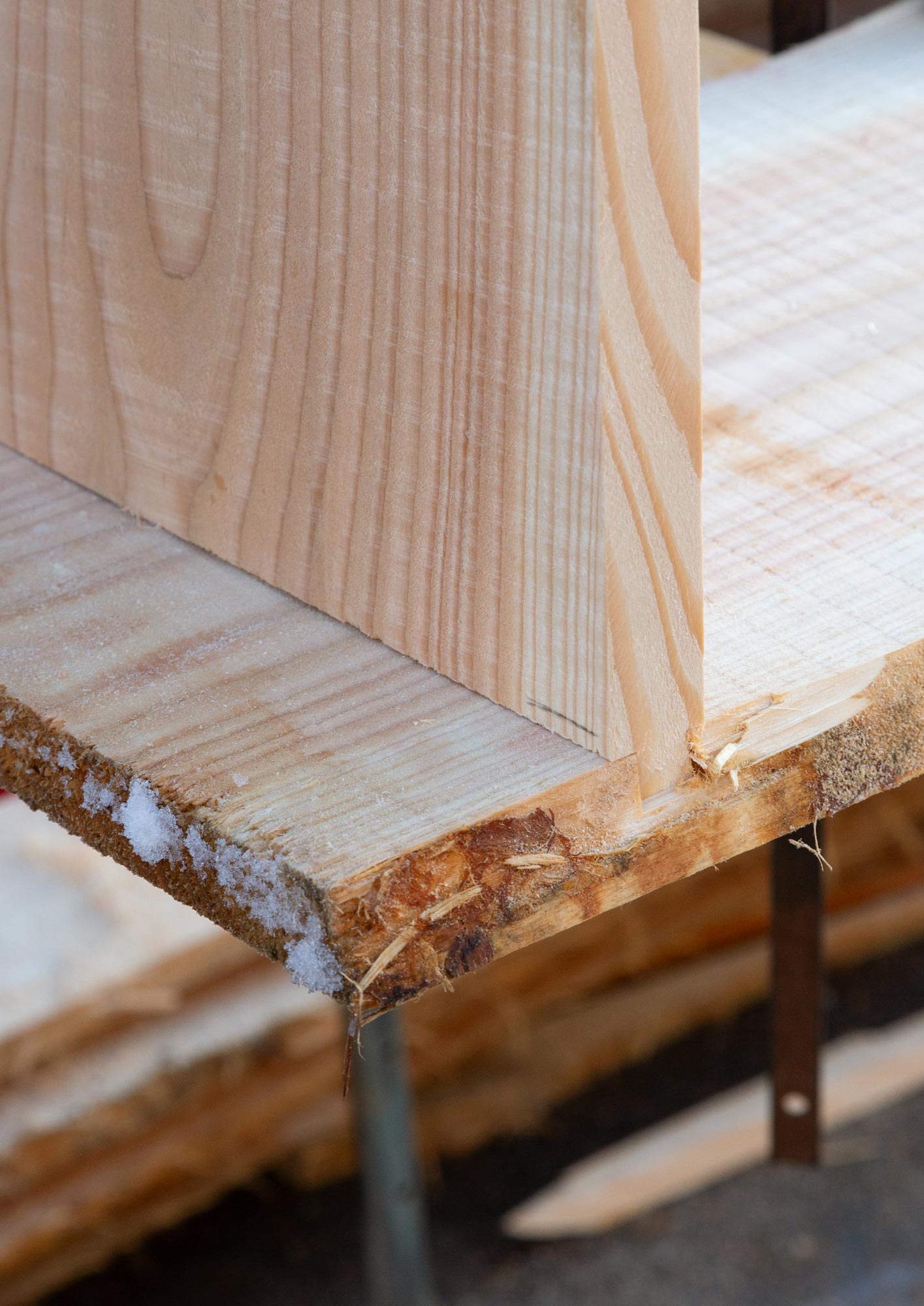 Archival Studies Thoravej Green Wood Samuel Causse 11