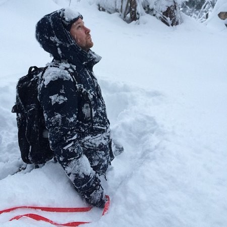 Photo of David Arena