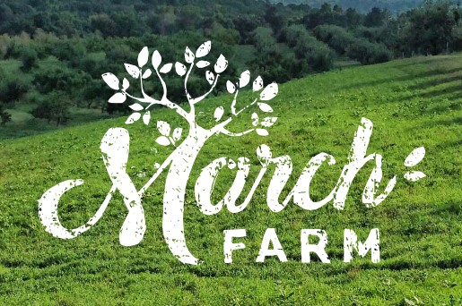 Fall Festivities and Music at March Farms