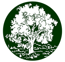 Avenidas Cremation & Burial