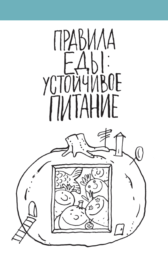 Stable eating habits and rules