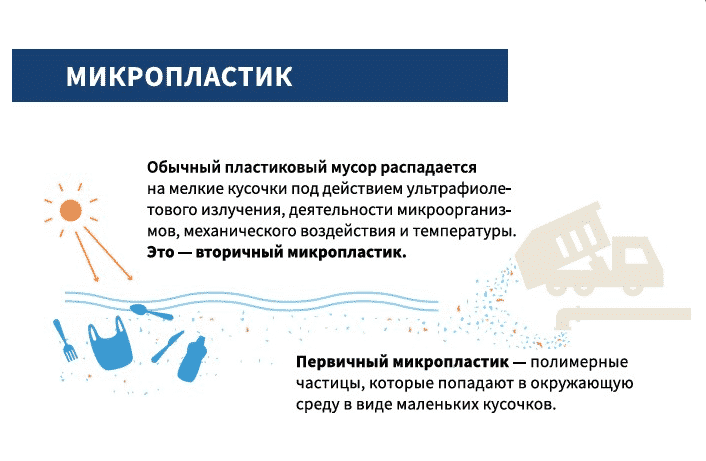 Educational exhibition "About plastic: from problems to solutions"