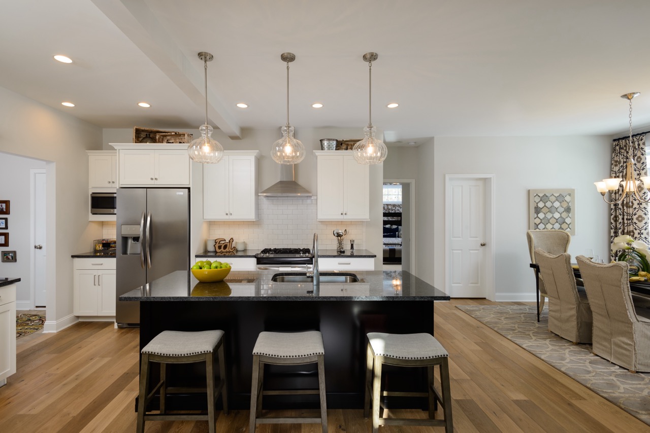 5 Greenbrier Way - Chesapeake Primary Down - Gourmet Kitchen