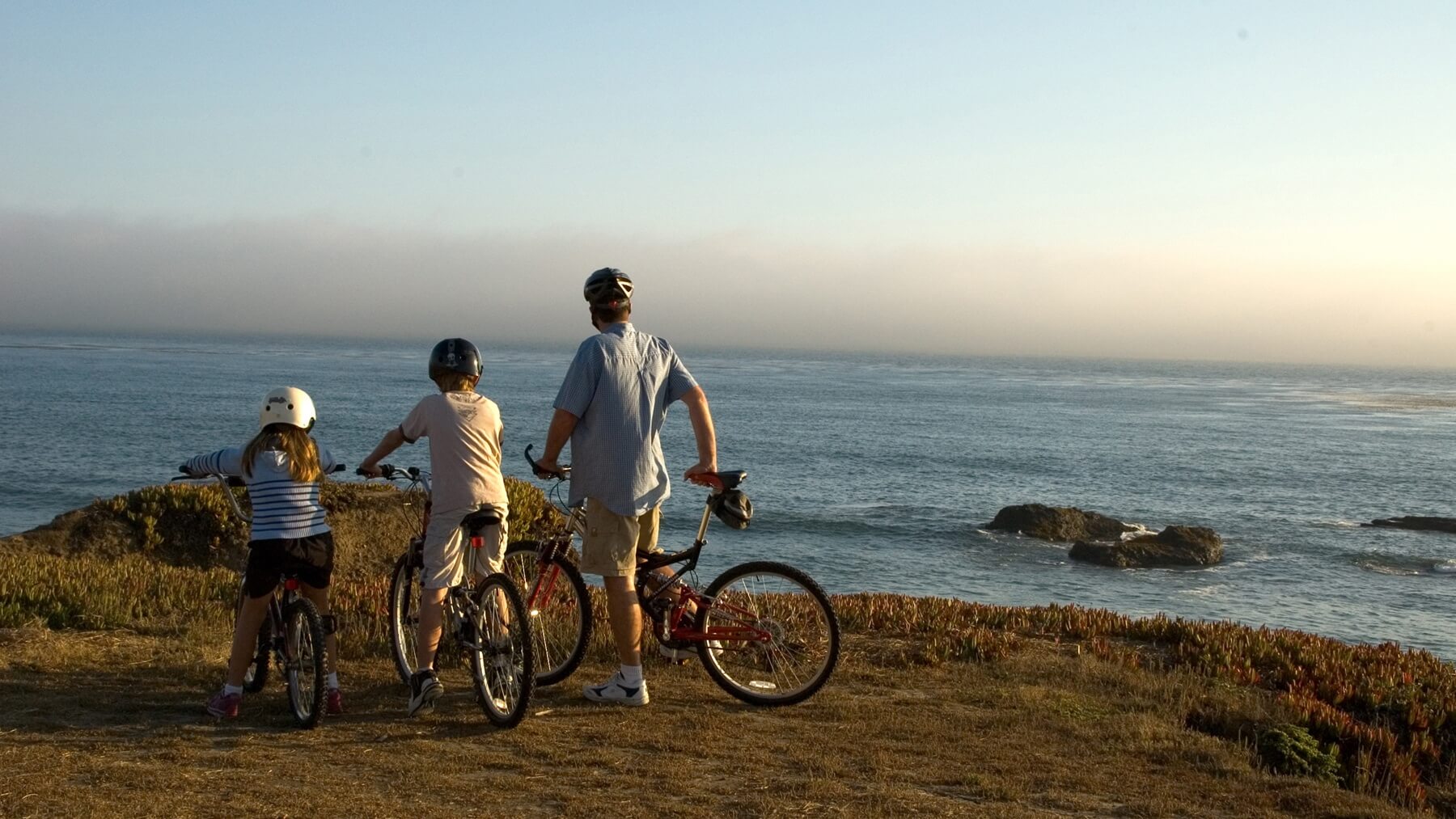 TAS Regional LGI WLAA