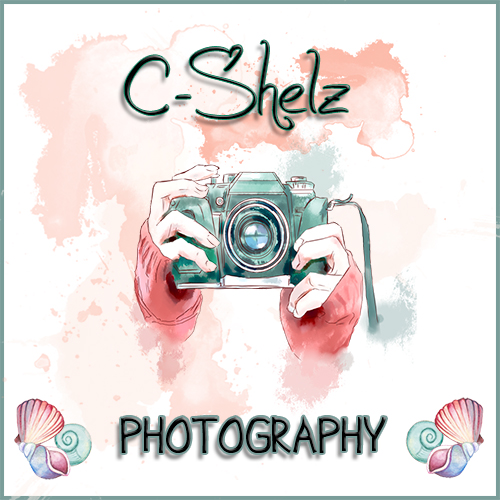C-Shelz Photography