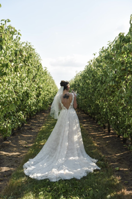 Robe de mariée Justin Alexander d'occasion pas chère taille 36 - Joyne