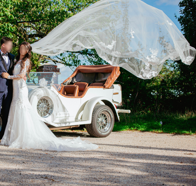 Robe de mariée Nicole Milano (maison Pronovias) d'occasion pas chère taille 34 - Joyne