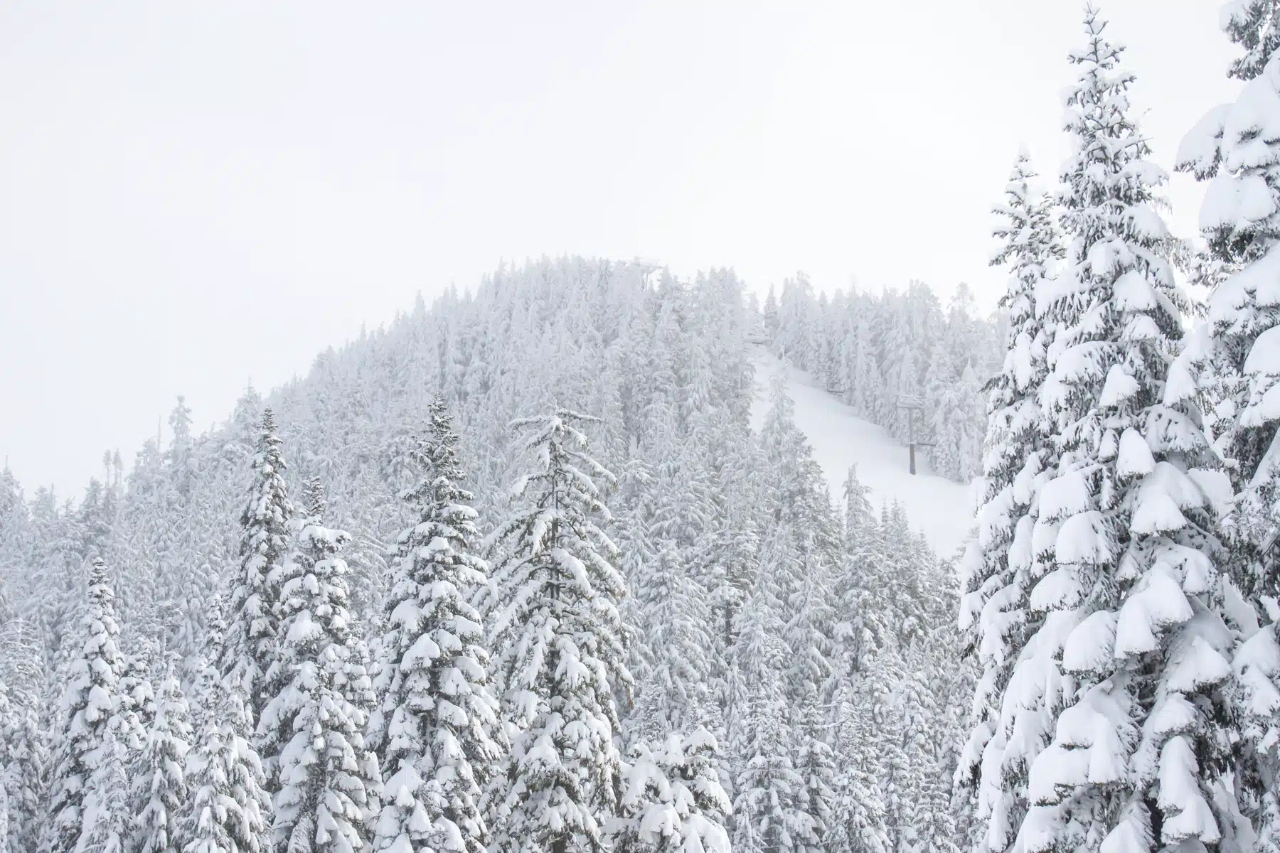 Willamette Pass - Luxury ski hotel gallery image 6 showing alpine architecture, interior design, or mountain views