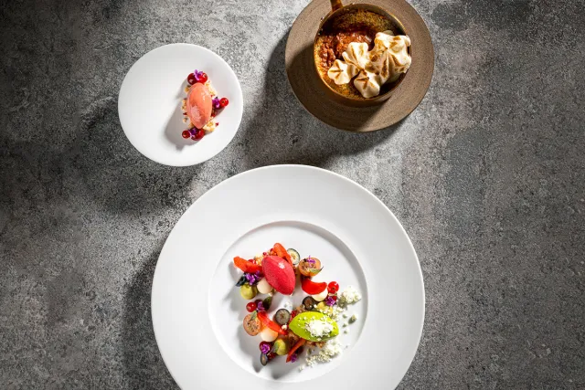 Burg Vital Resort - Luxury ski hotel gallery image 16 showing alpine architecture, interior design, or mountain views