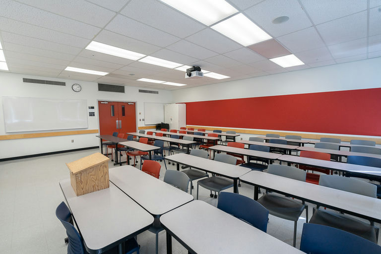 SCRF 206 - Image Gallery 2