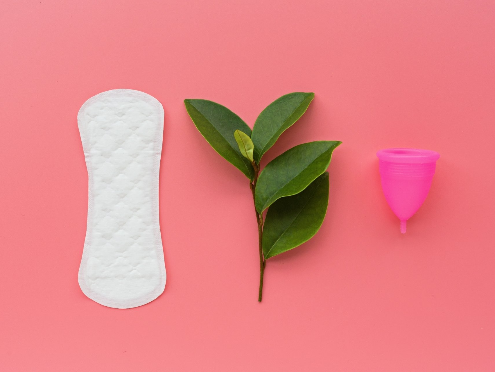 Best Eco-Friendly Period Products