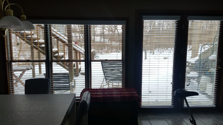 Love is Blinds Hurst TX (817) 813-8846 Custom Honeycomb Shades Near Me