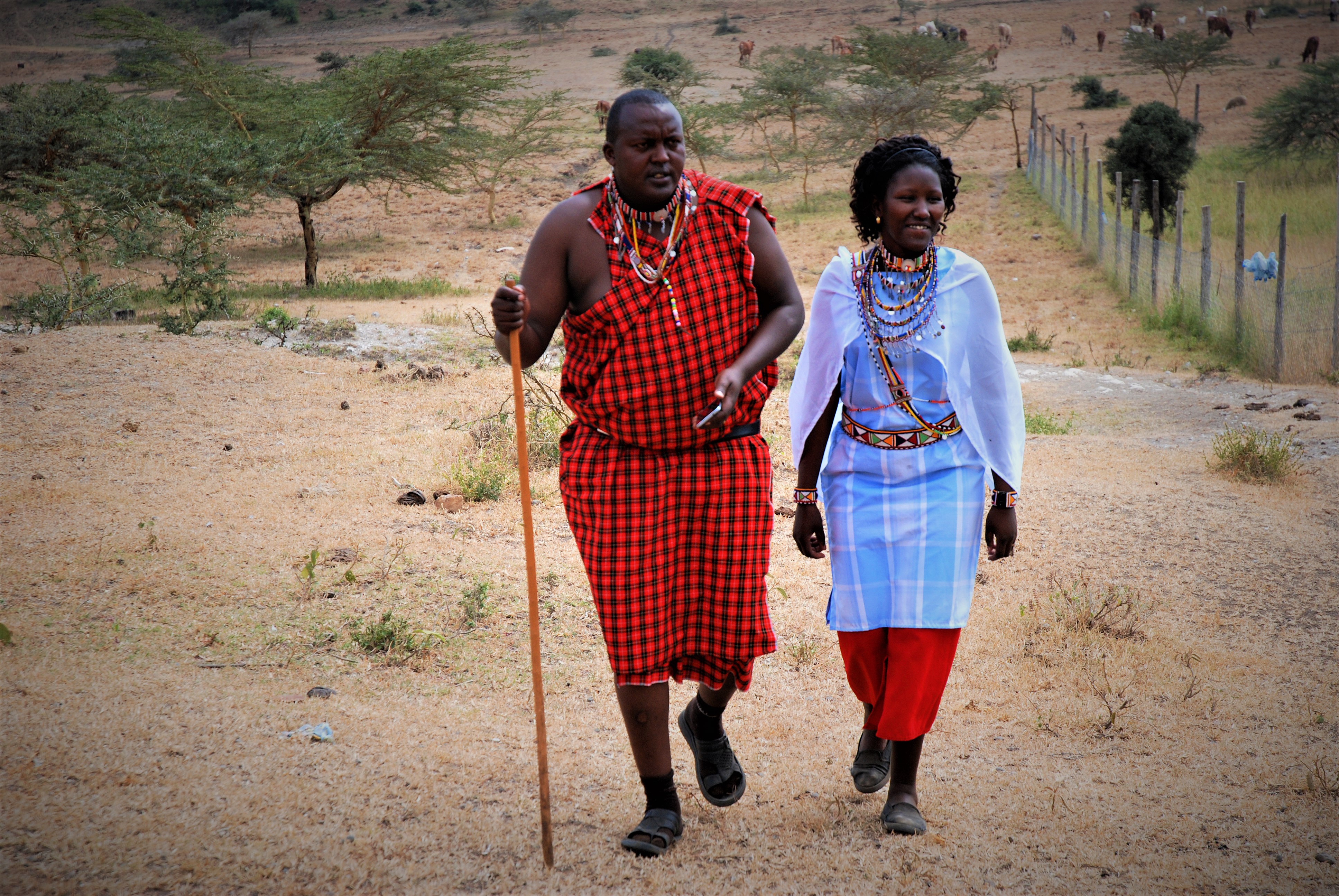 Acacia Moyo - Where Tradition Meets Technology (fka The Learning Field- Acacia Moyo)