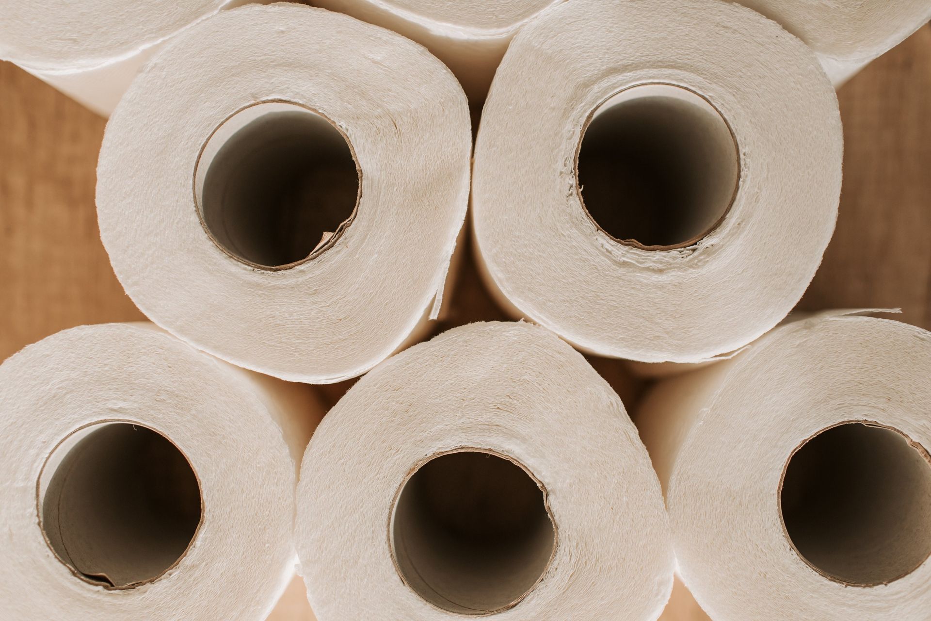 Tried & Tested Recycled Toilet Paper: Honest Supplies, Serious Tissues & Who Gives A Crap