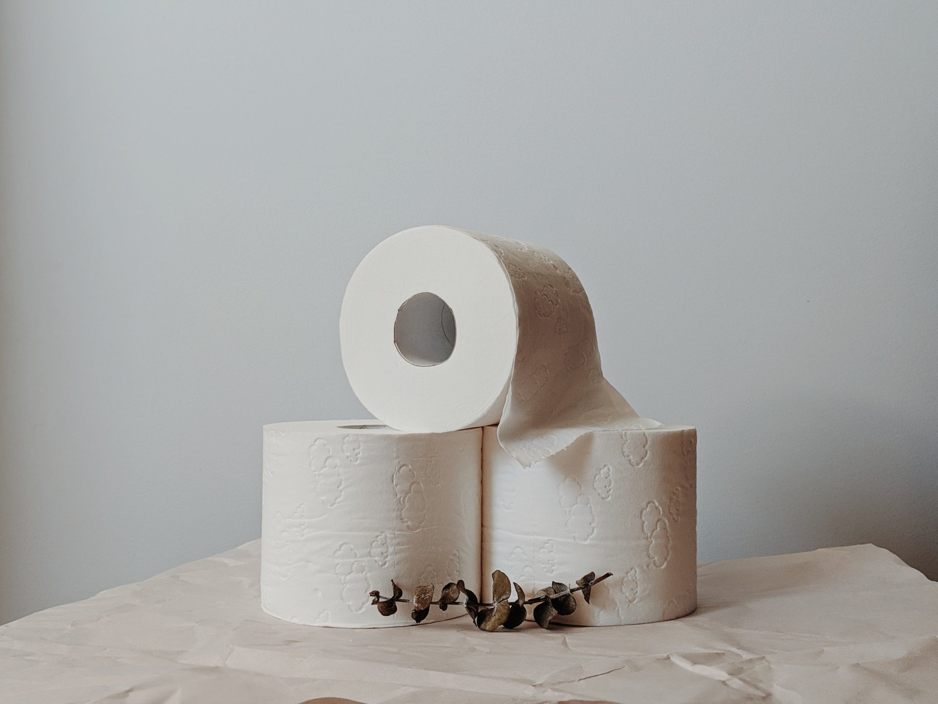 Best UK Eco-Friendly Toilet Paper: Recycled & Bamboo
