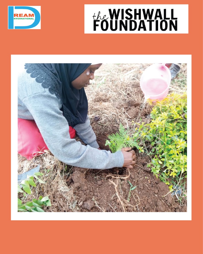 planting for biodiversity of landscapes in Rwenzori mountains