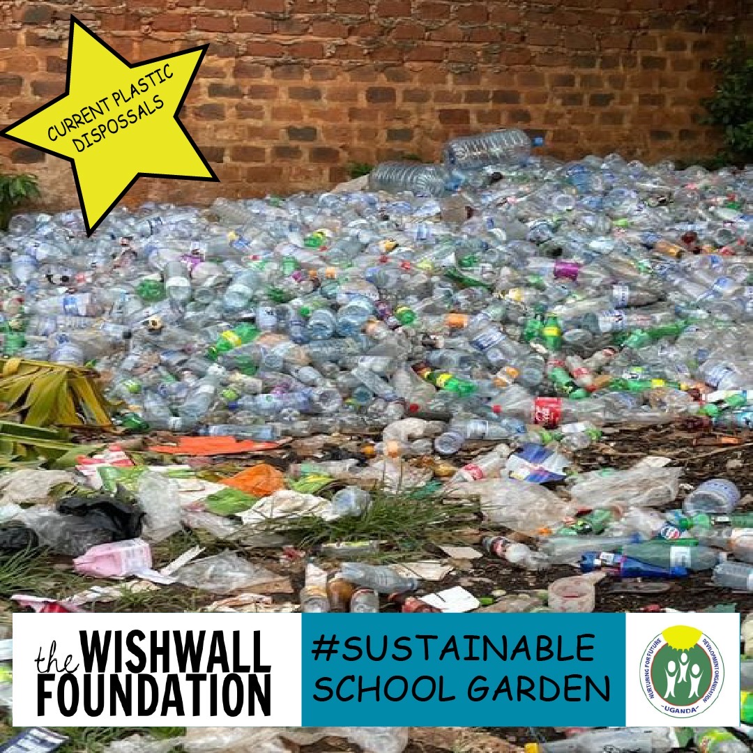 #Sustainable school garden