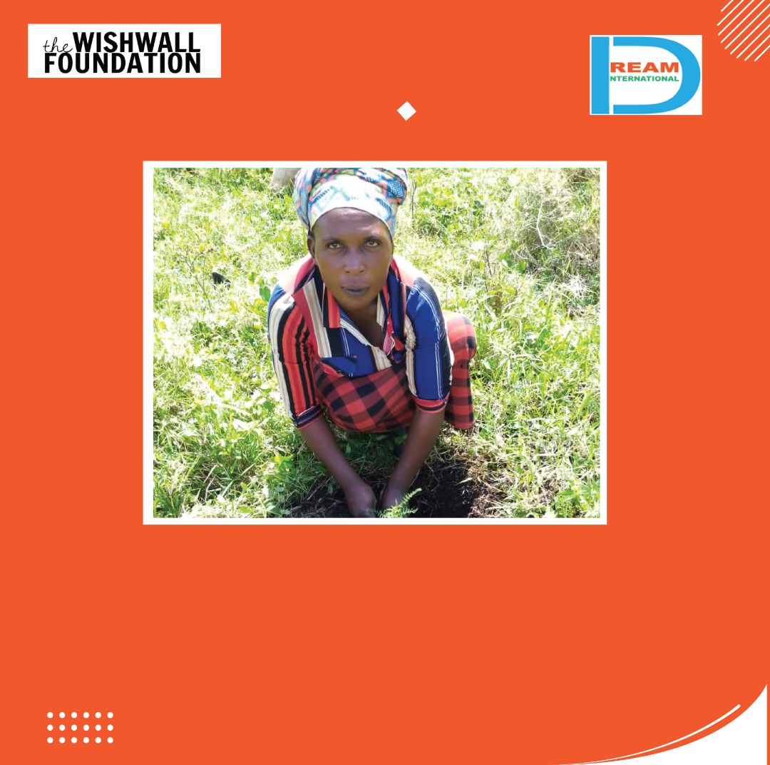 Planting for the restoration of landscapes in Rwenzori mountains