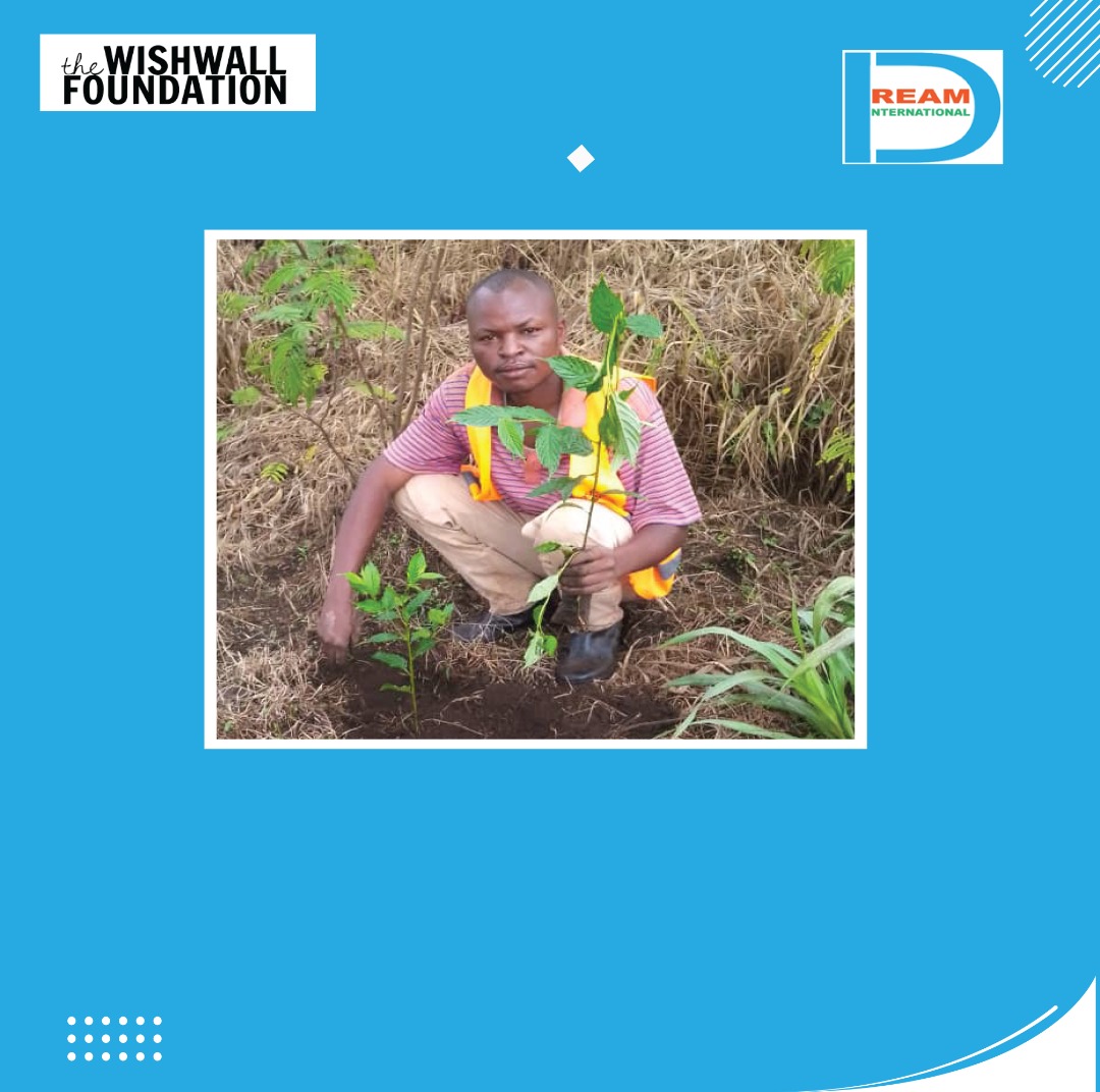 Planting for the restoration of landscapes in Rwenzori mountains
