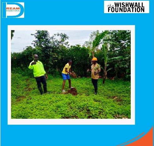 planting for biodiversity of landscapes in Rwenzori mountains