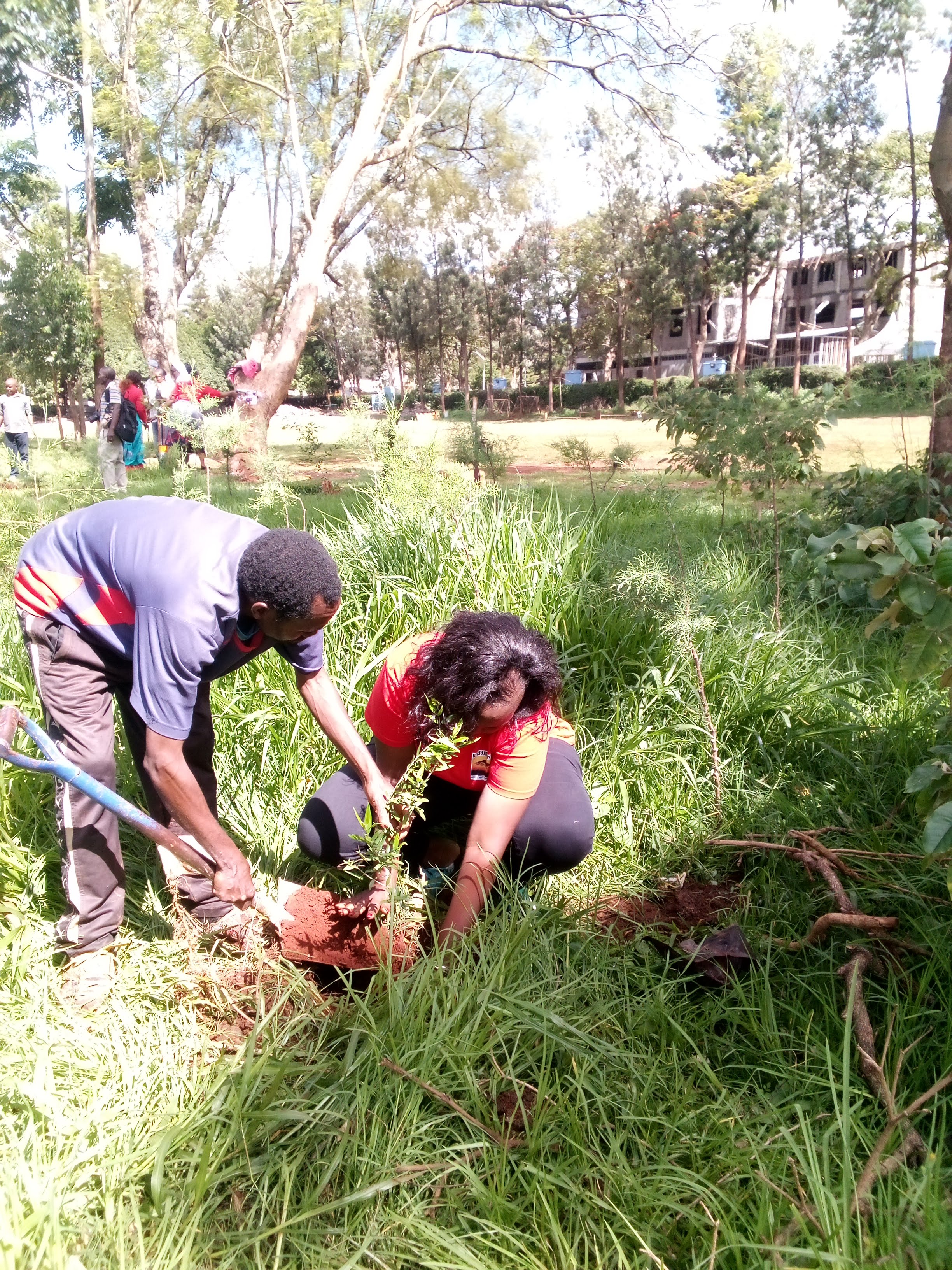 Planting trees for a greener tomorrow