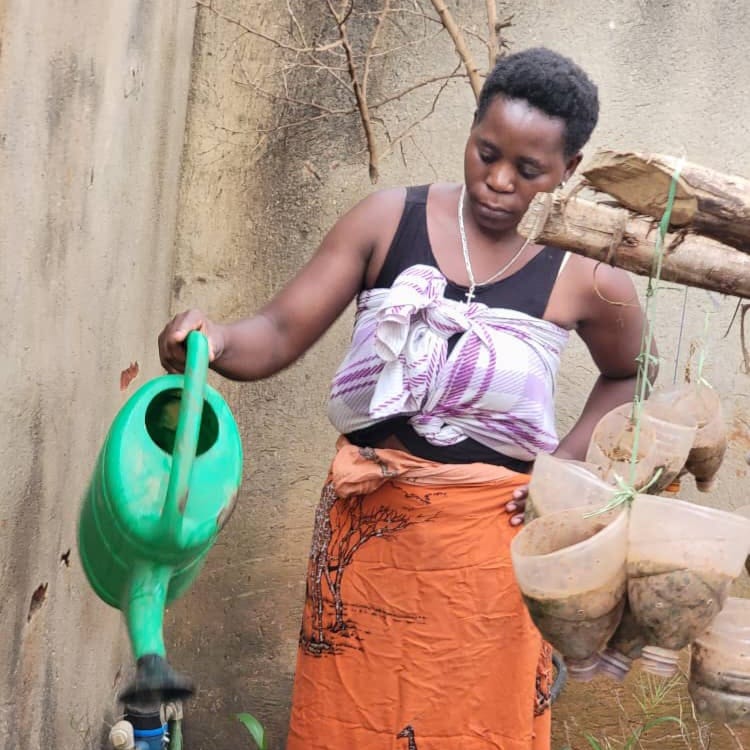 Sustainable school garden
