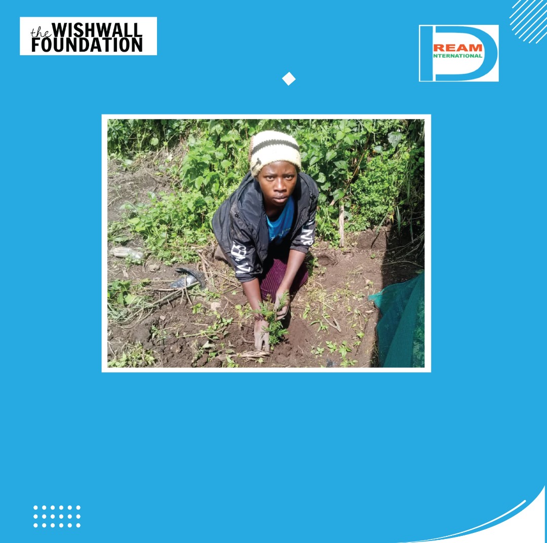 planting for biodiversity of landscapes in Rwenzori mountains