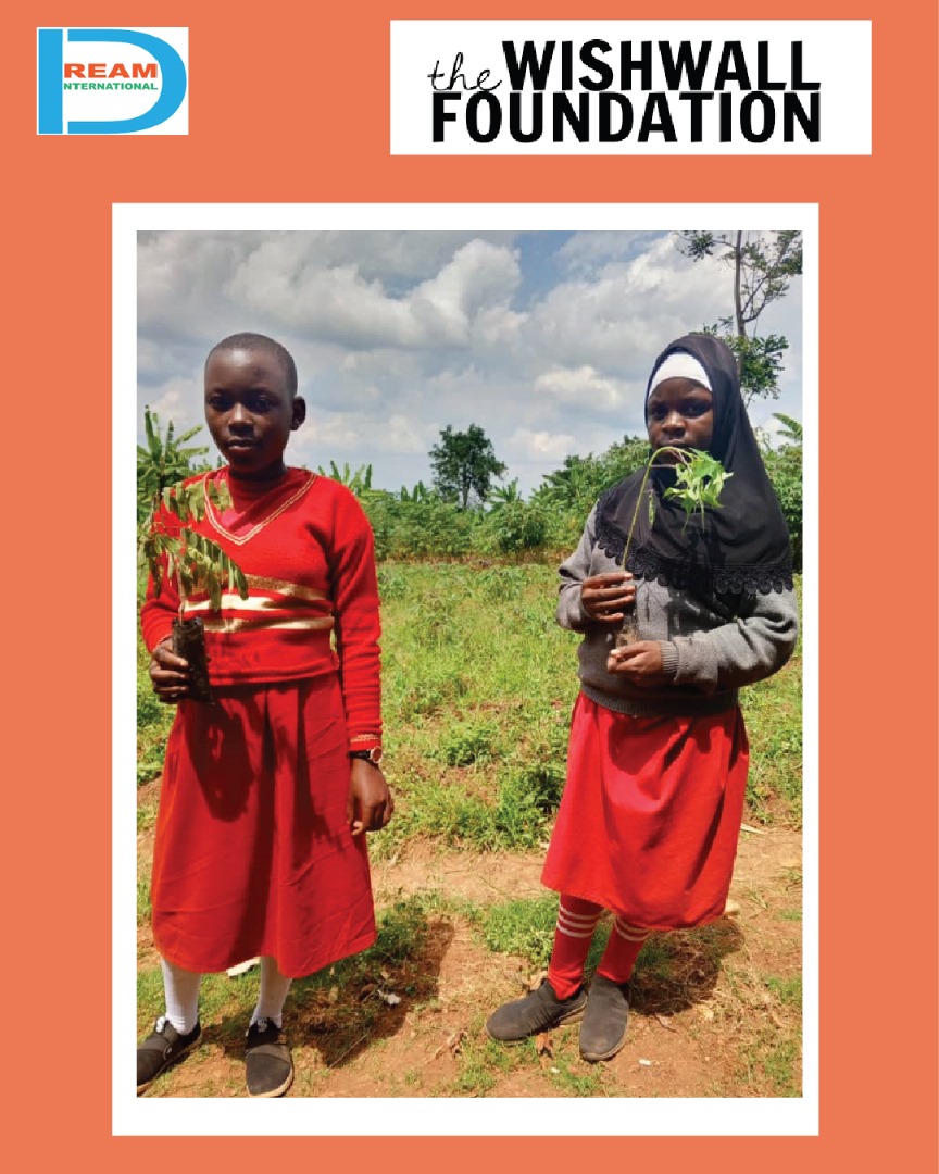 planting for biodiversity of landscapes in Rwenzori mountains