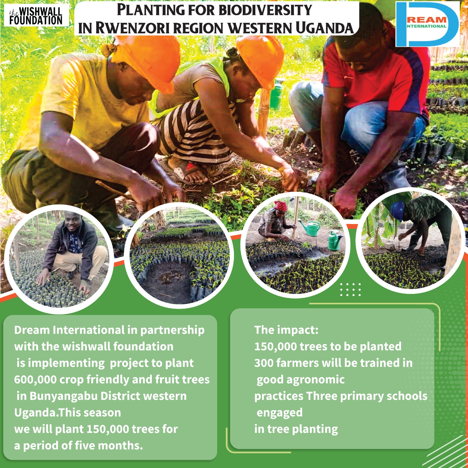 planting for biodiversity of landscapes in Rwenzori mountains