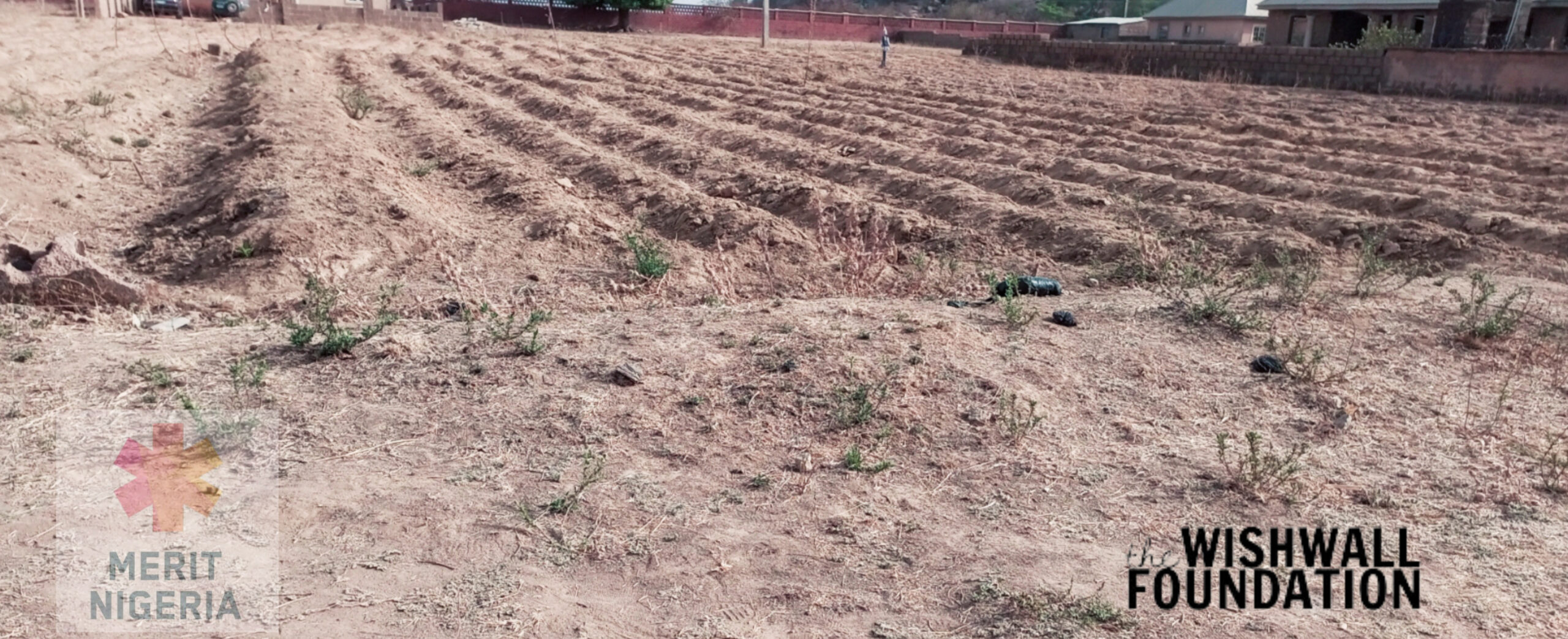 Wish Granted for Project Farm2Life