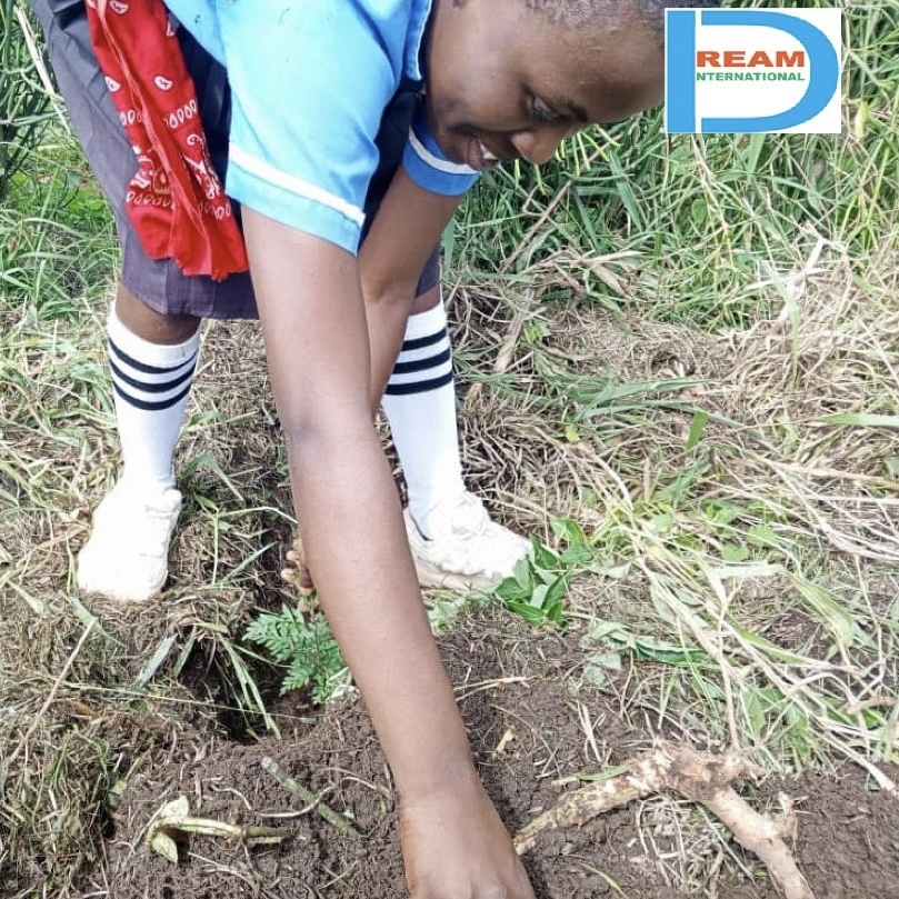 planting for biodiversity of landscapes in Rwenzori mountains