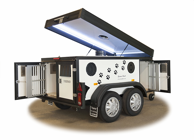 THERMO BLACK 4 BOOGIE LARGE