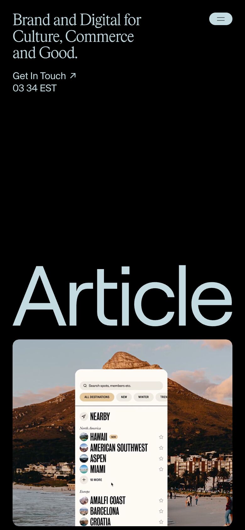 Article mobile screenshot