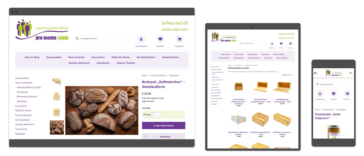 Website Referenz Pro Mente Steiermark