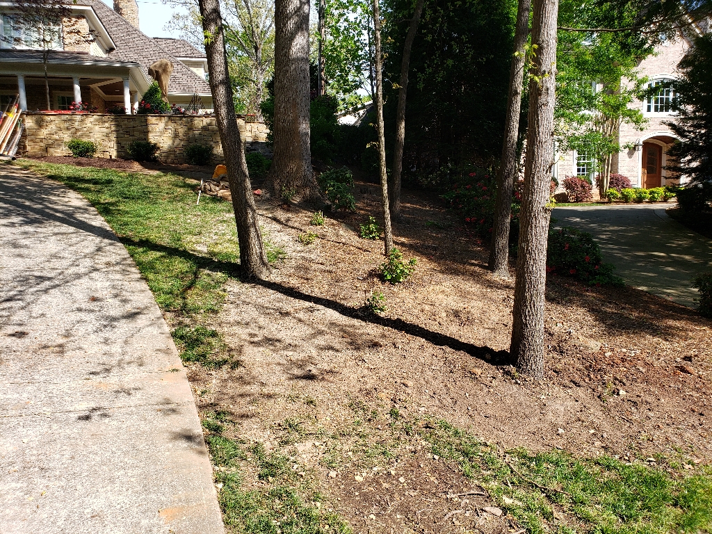 Junk Removal in Raleigh, NC