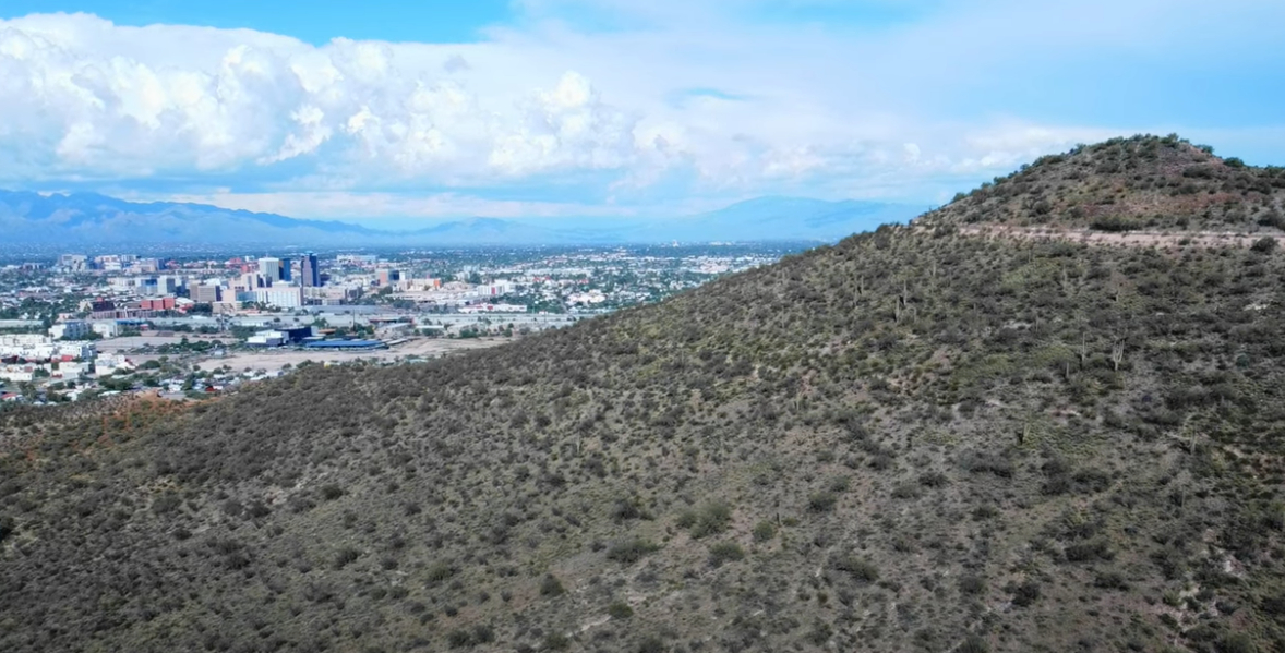 Love is Blinds - Custom Blinds, Shades, and Shutters Sentinel Peak Park view of Tucson