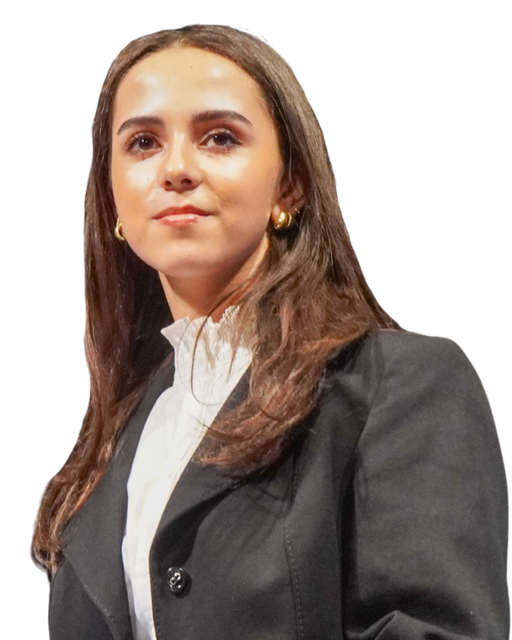 Alissar Abdel Razzaq Abdul Kareem 