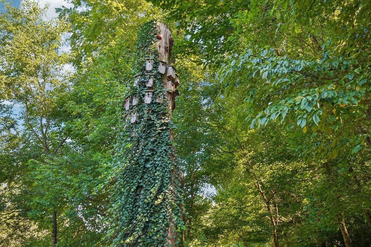 Real estate property located at 1060 Natchez Valley Lane, Natchez Valley, Franklin, TN