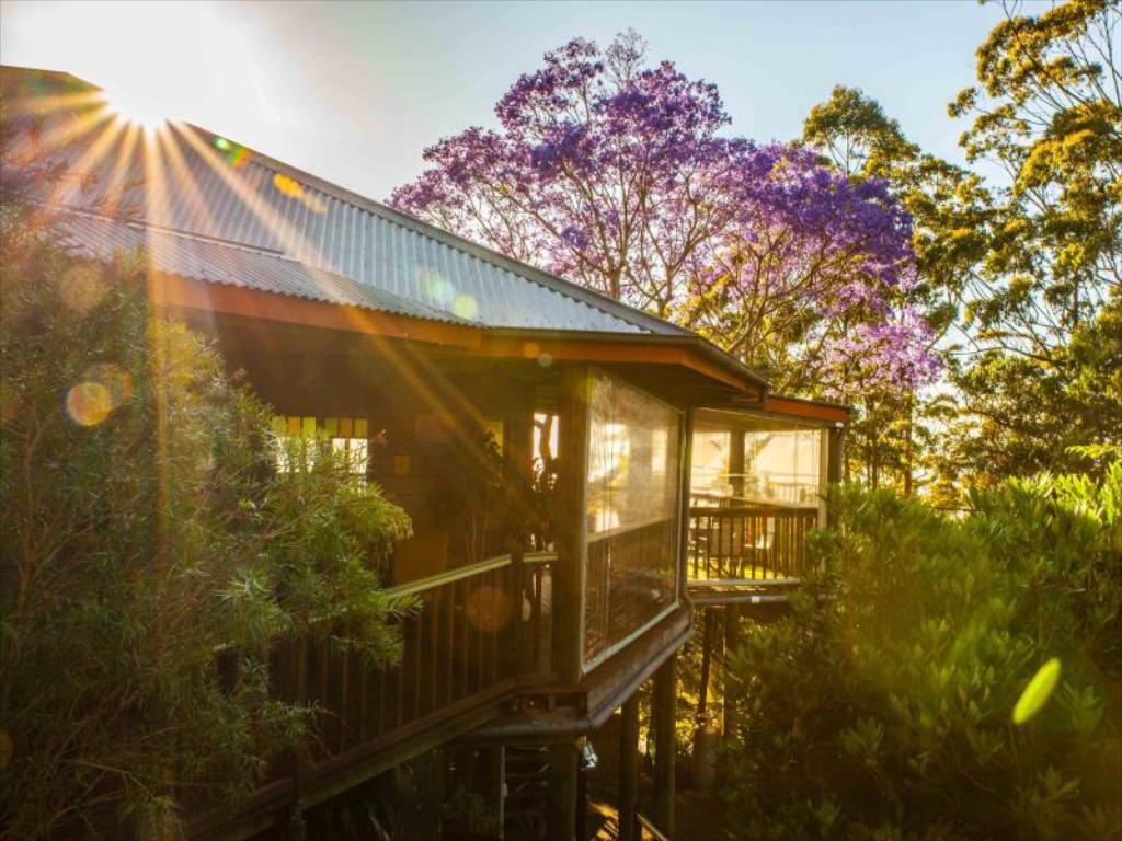 Tamborine Mountain Bed and Breakfast