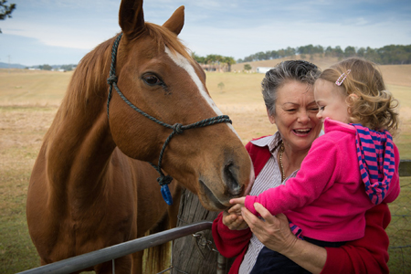Clandulla Cottages & Farmstay