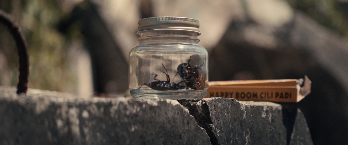 © Straycats Films 2022. Copyright