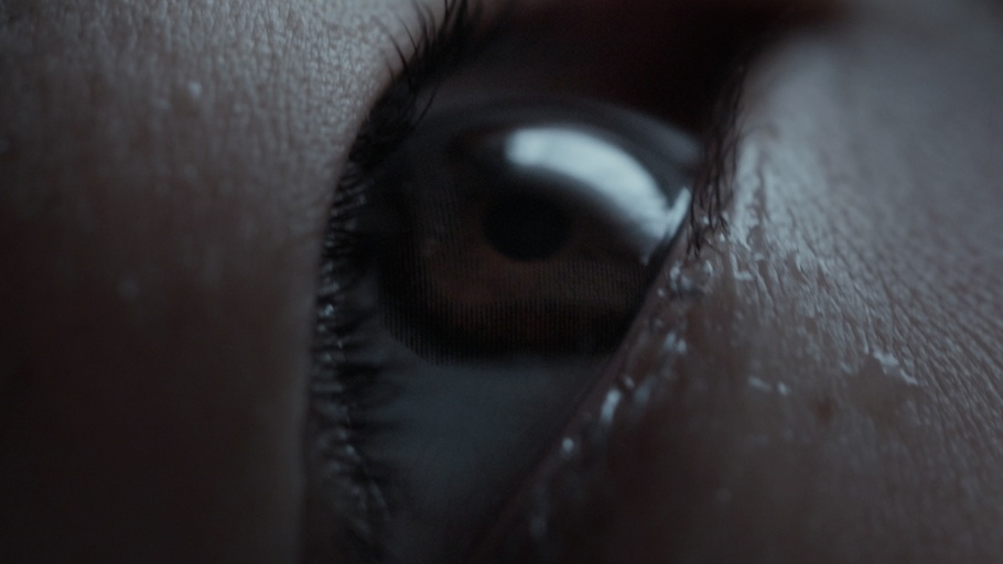 Photo courtesy of NTT